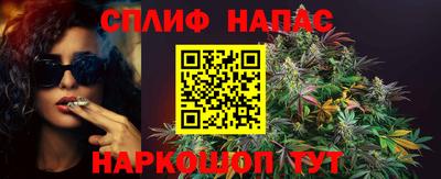 стафф Кандалакша