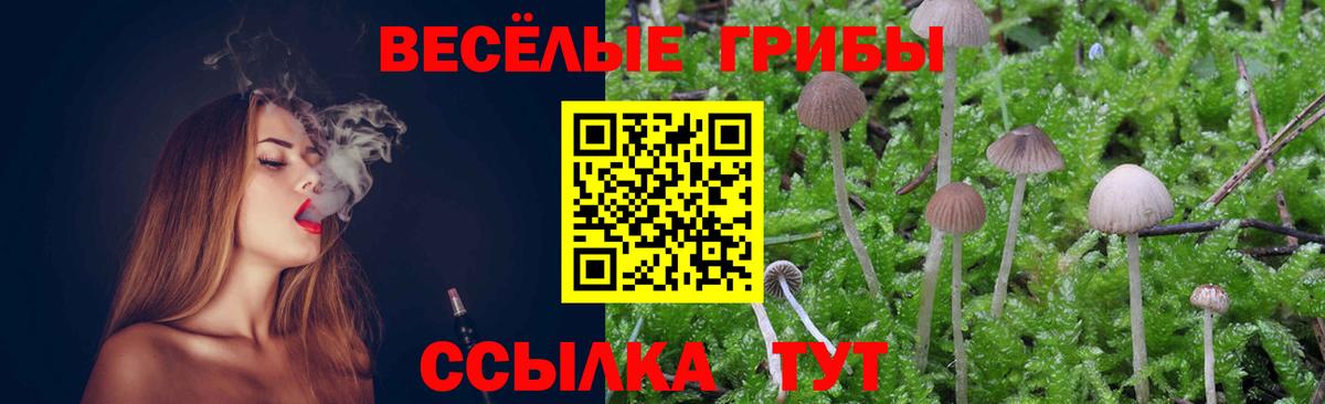 Псилоцибиновые грибы MAGIC MUSHROOMS Киржач